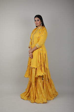 Haldi Embroided Lehenga Set-   AVSR 4