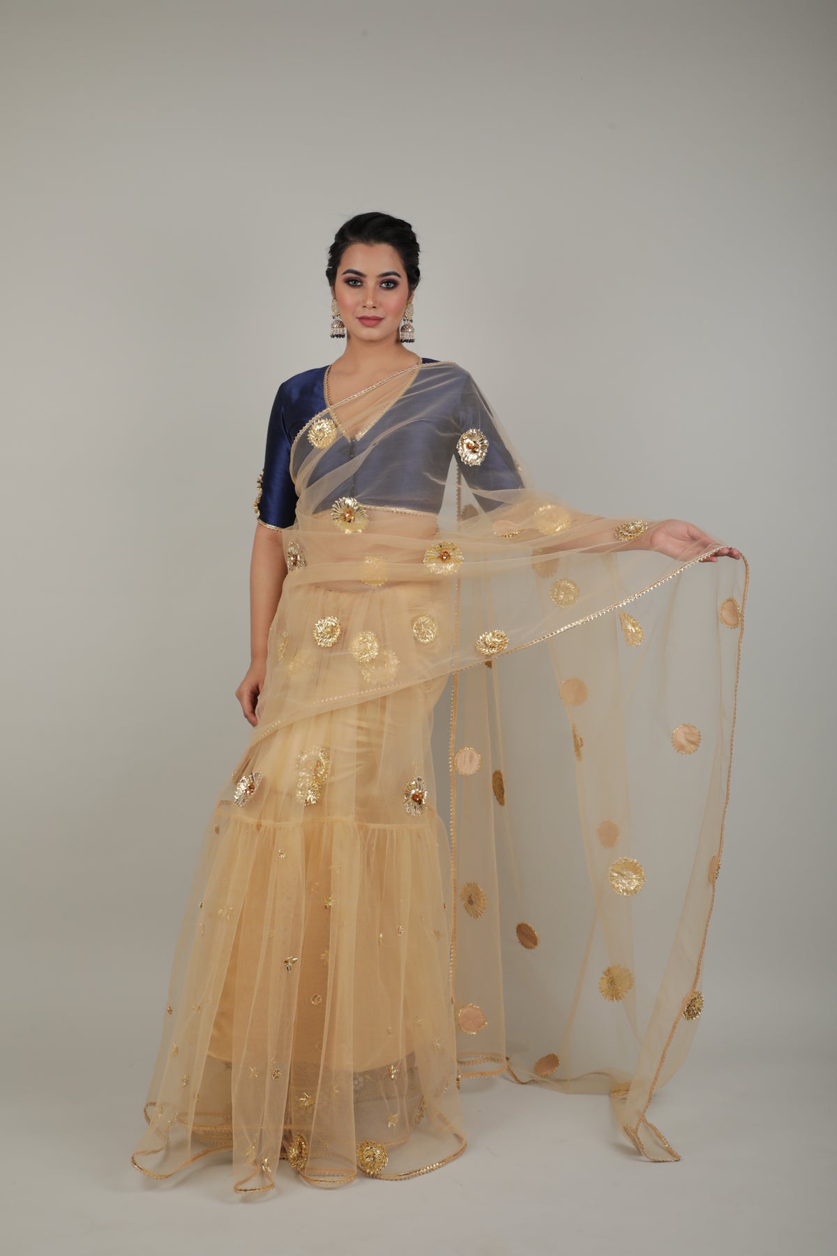 Nude Embroided Saree Set-   AVSR 9