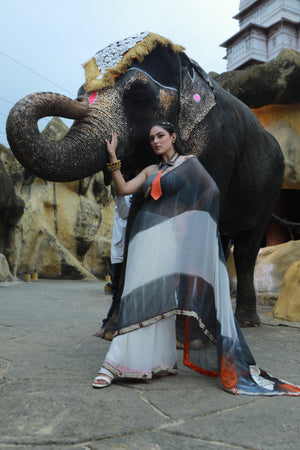 devi drape hand painted saree set -   DD 80