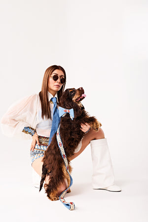 Royal bow Dog collar and leash-   KCDD 16