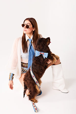 Royal bow Dog collar and leash-   KCDD 16