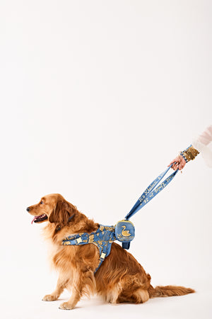 Blue majesty swan Dog set-   KCDD 07