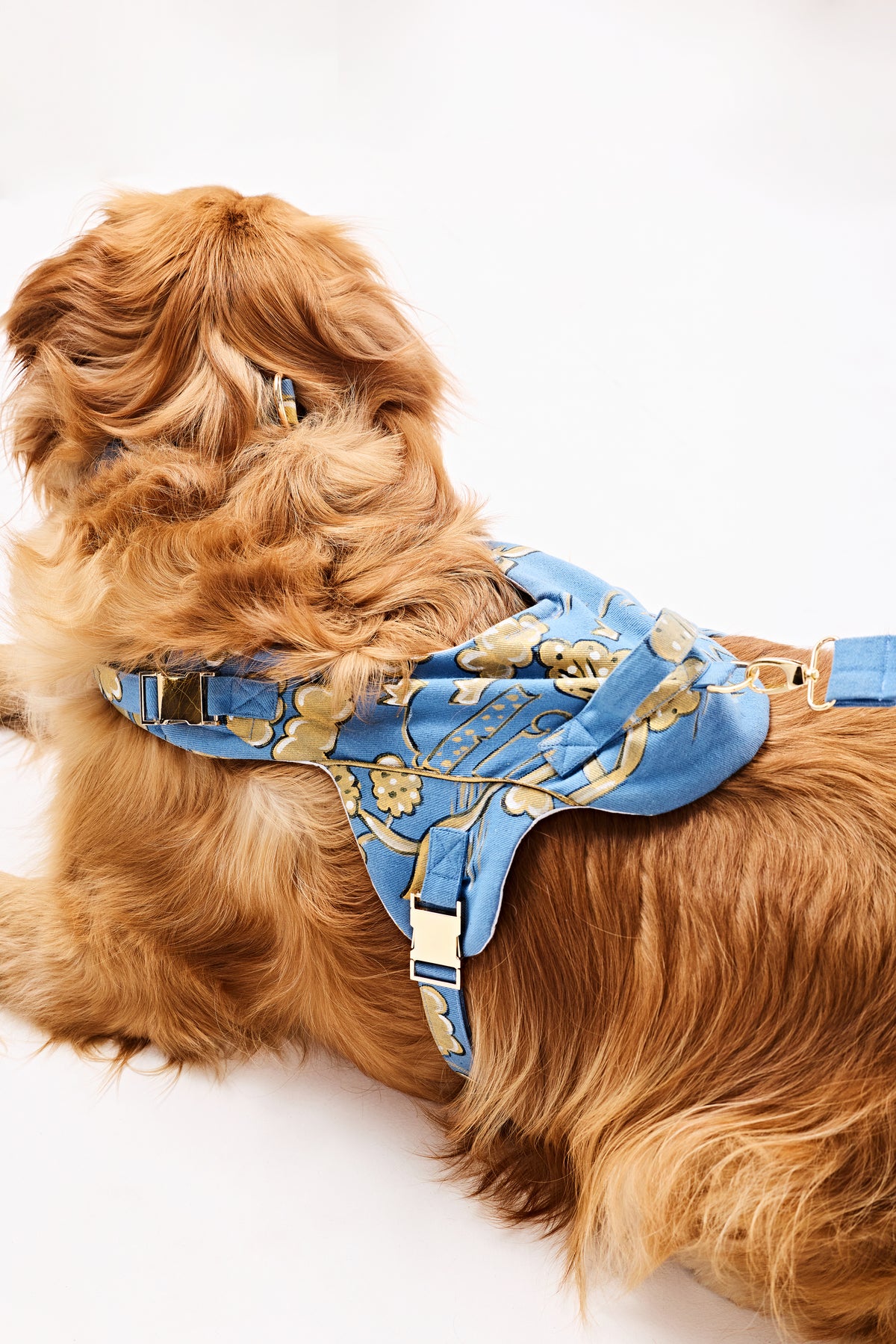Blue majesty swan Dog set-   KCDD 07