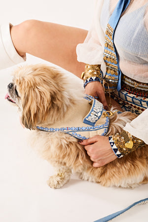 Blue ivory couture Dog harness and leash-   KCDD 02
