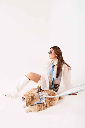 Blue ivory couture Dog harness and leash-   KCDD 02
