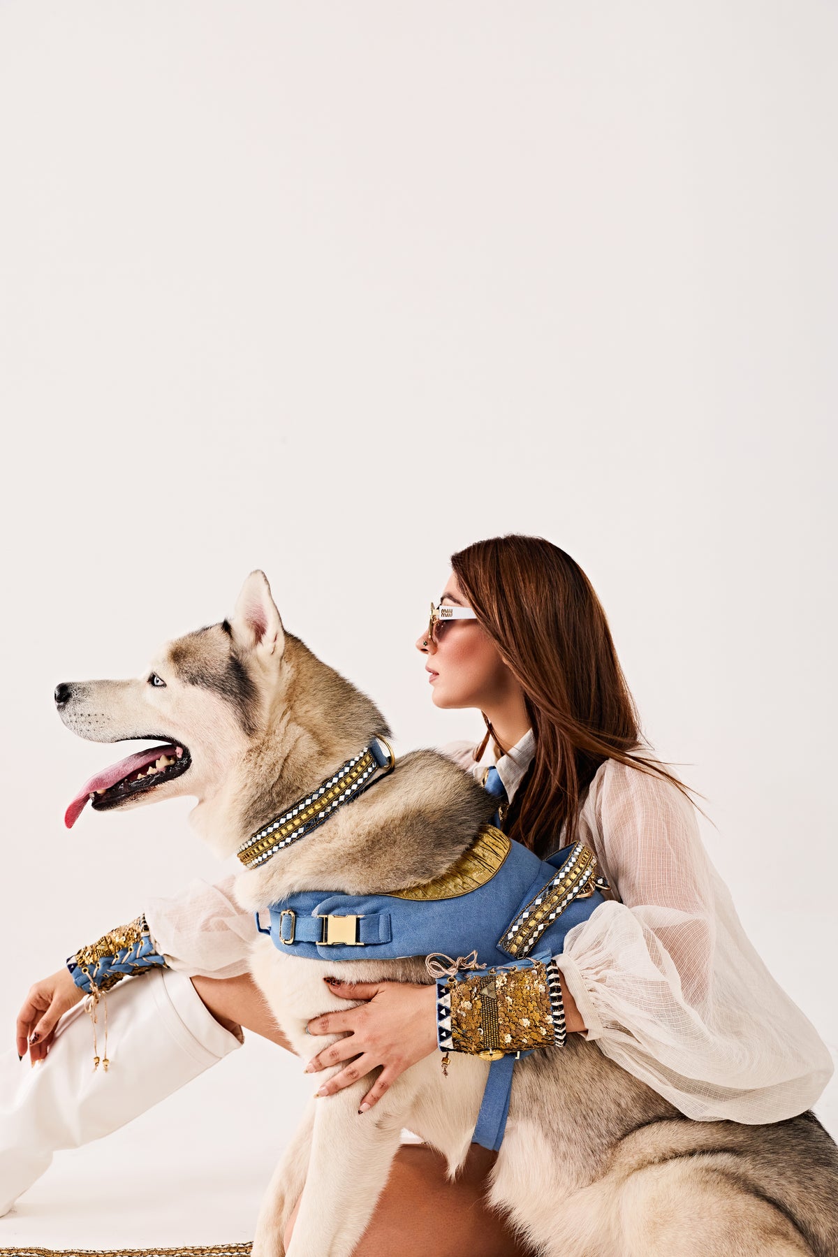 Golden Edge couture Dog set-   KCDD 01