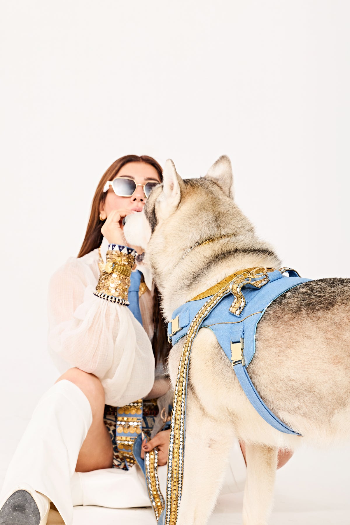 Golden Edge couture Dog set-   KCDD 01