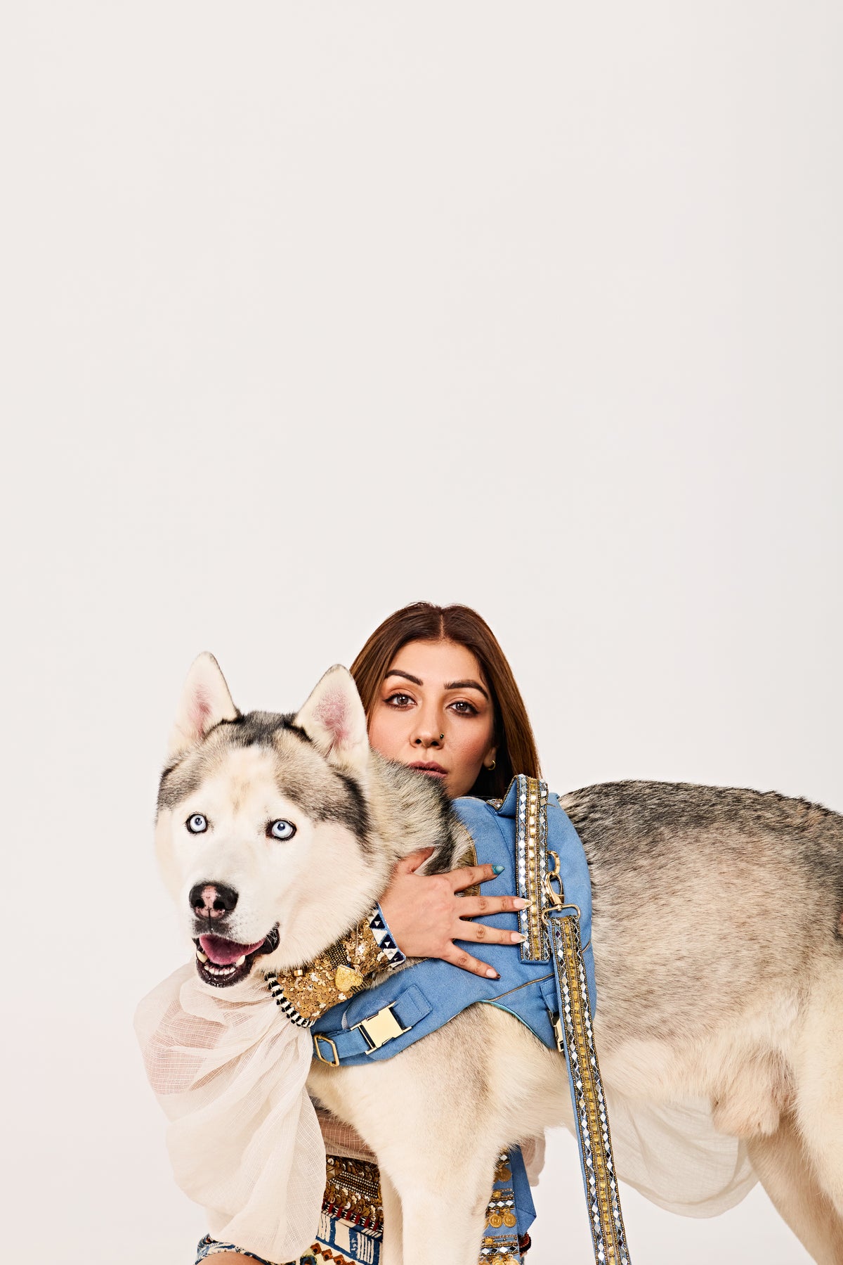 Golden Edge couture Dog set-   KCDD 01