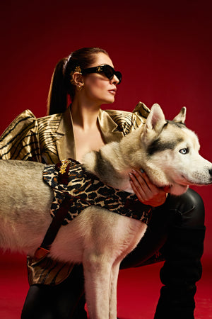 Leopard essence designer Dog harness and leash-   KCITW 14