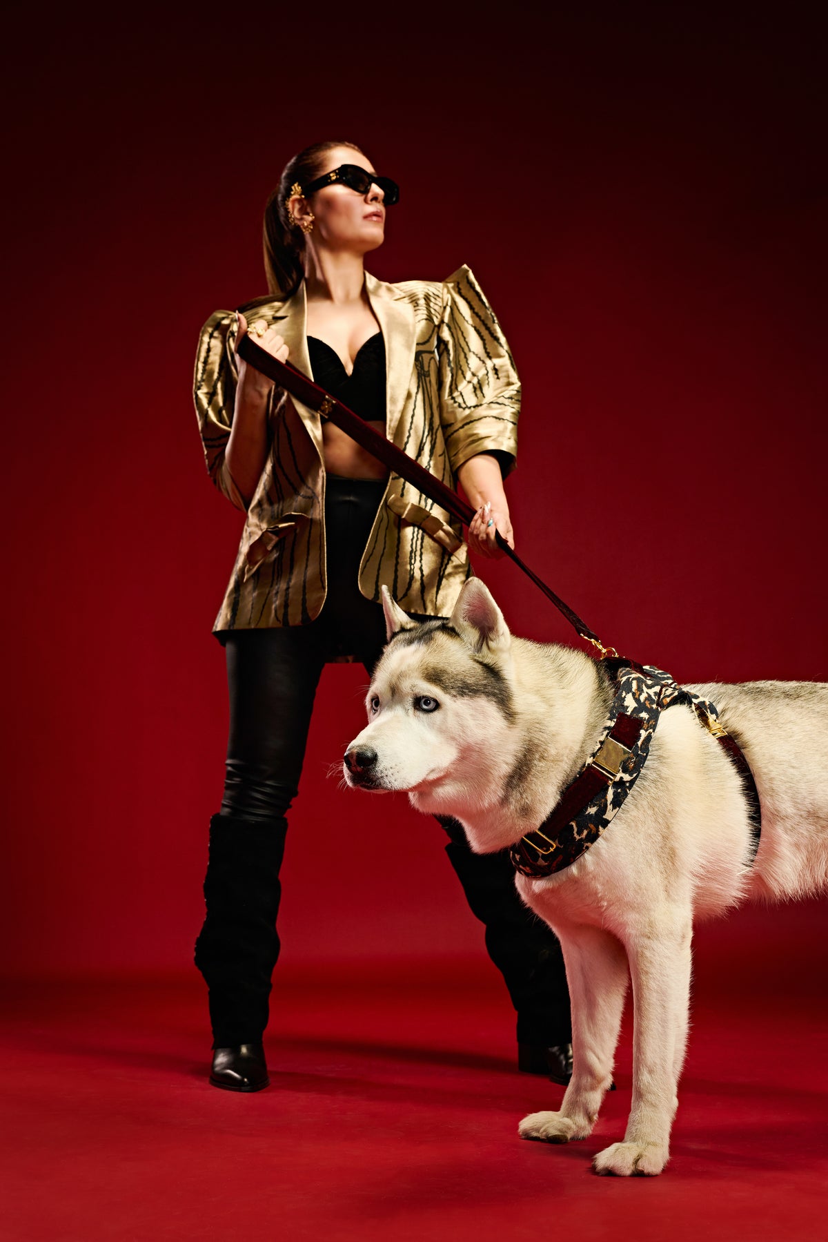 Leopard essence designer Dog harness and leash-   KCITW 14