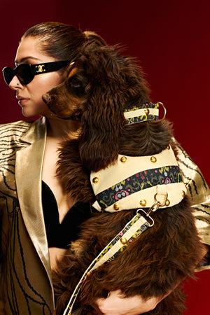 Obsidian royale luxe Dog set-   KCITW 04