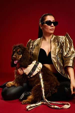 Obsidian royale luxe Dog set-   KCITW 04