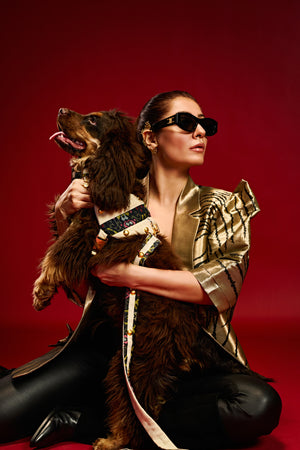 Obsidian royale luxe Dog set-   KCITW 04