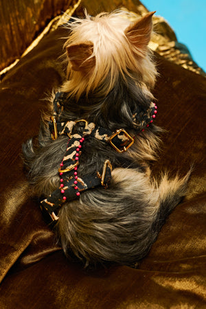Leopard glam couture Dog harness and leash-   KCITW 09