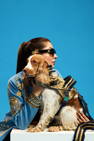 Imperial gold edition Dog set-   KCITW 11