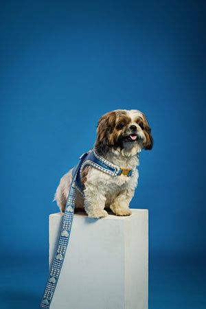 Denim pearl couture Dog harness and leash-   KCP 03