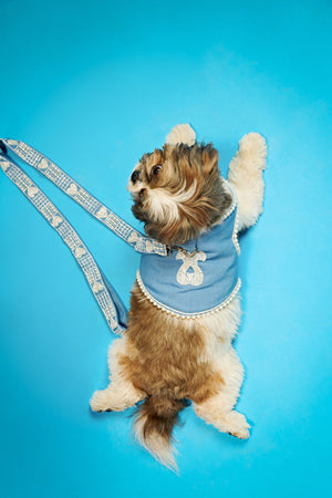 Denim pearl couture Dog harness and leash-   KCP 03