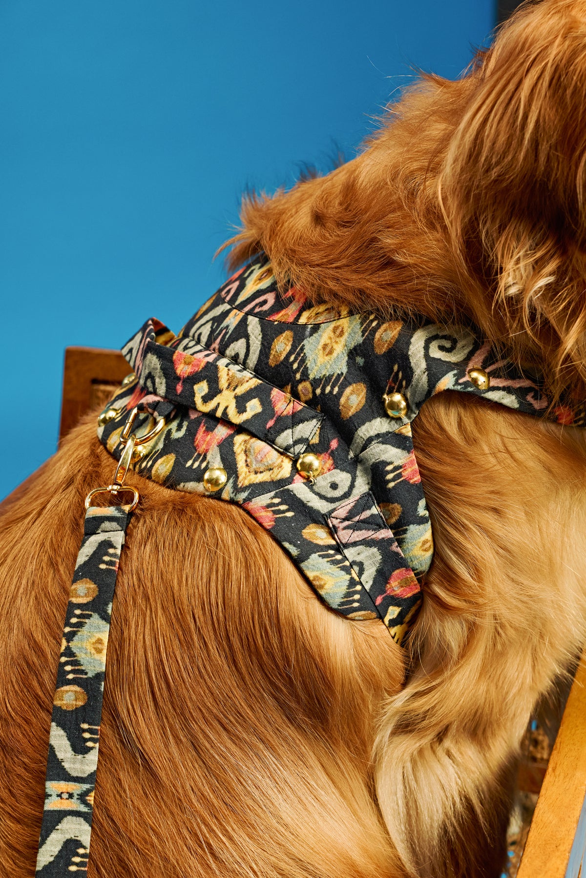 Boho luxe Dog harness and leash-   KCITW 06