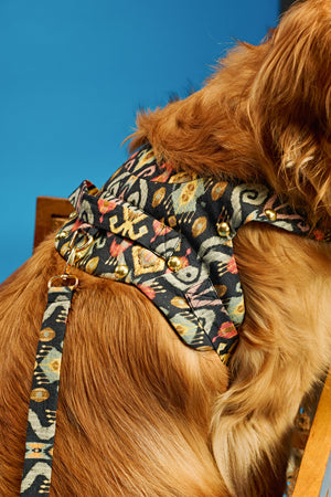 Boho luxe Dog harness and leash-   KCITW 06